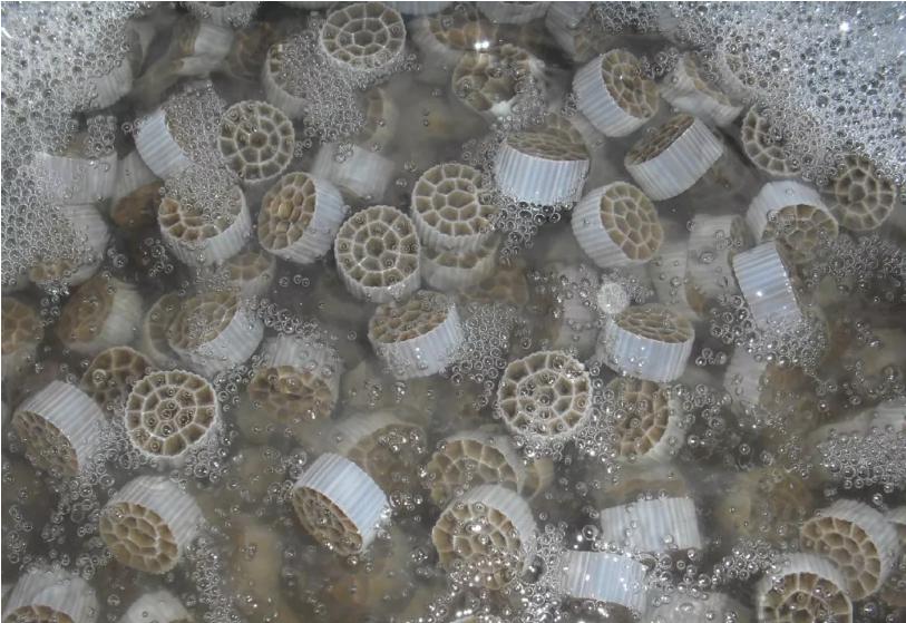 MBBR的工藝原理、及特點(diǎn)